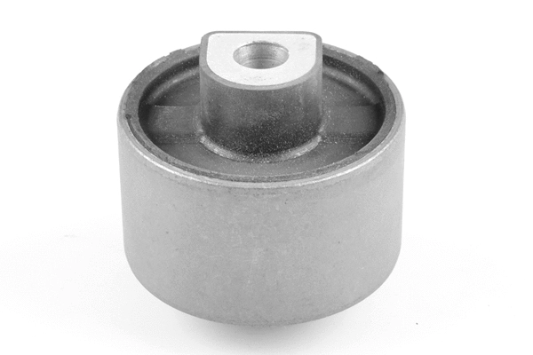 Mounting, control/trailing arm (TED40348)