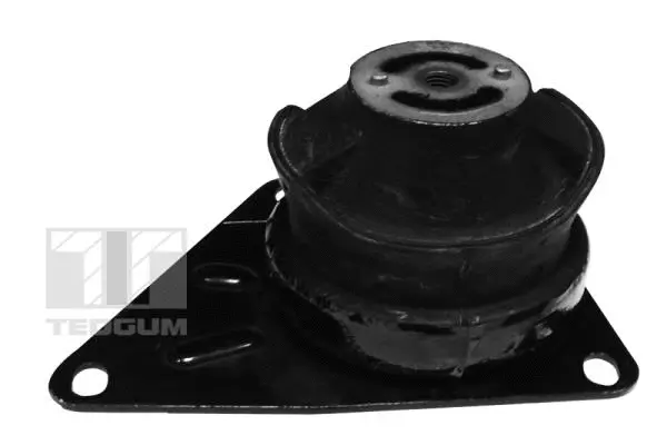Mounting, engine (00723888)