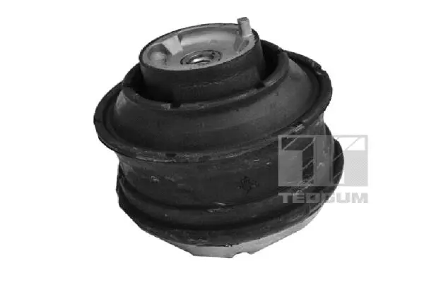 Mounting, engine (00416445)