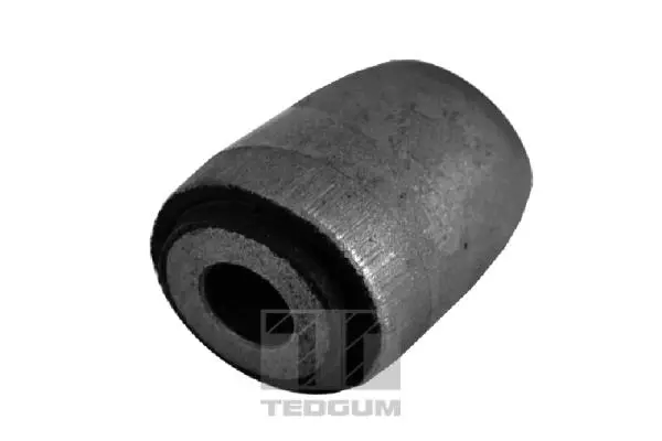 Mounting, control/trailing arm (00266597)