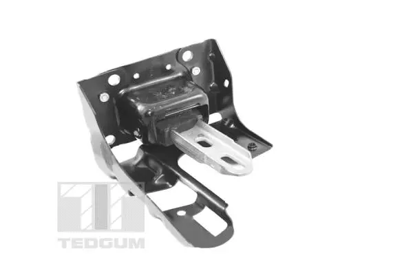 Mounting, engine (TED46367)