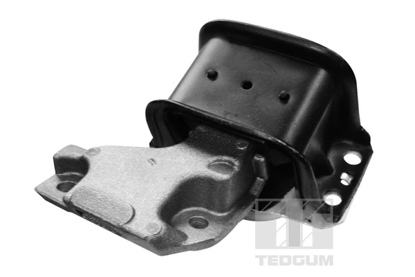 Mounting, engine (00511756)