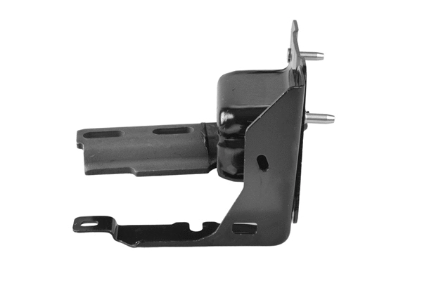 Mounting, engine (TED84260)