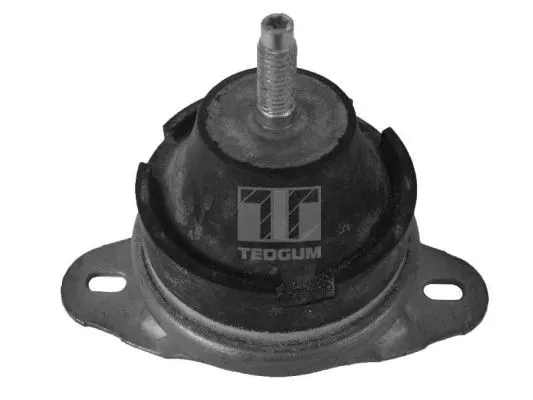 Mounting, engine (00214163)