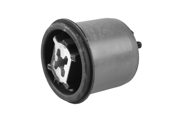 Bushing, axle beam