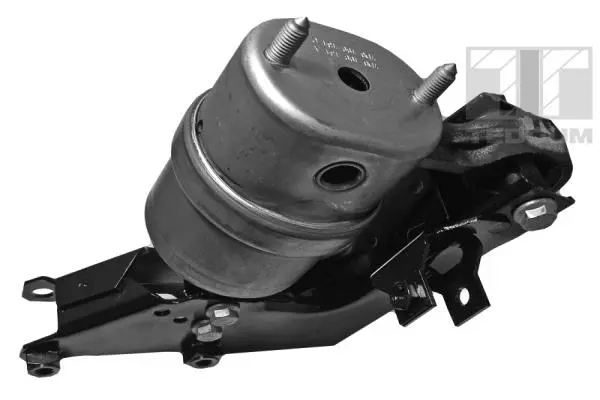 Mounting, engine (00725526)