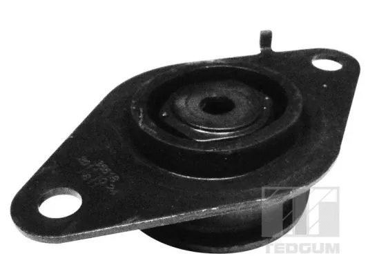 Mounting, engine (00585993)