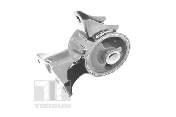 Mounting, engine (TED70520)