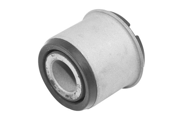 Bushing, axle beam (TED30369)