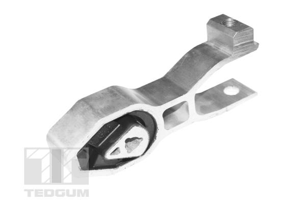 Mounting, engine (TED53432)