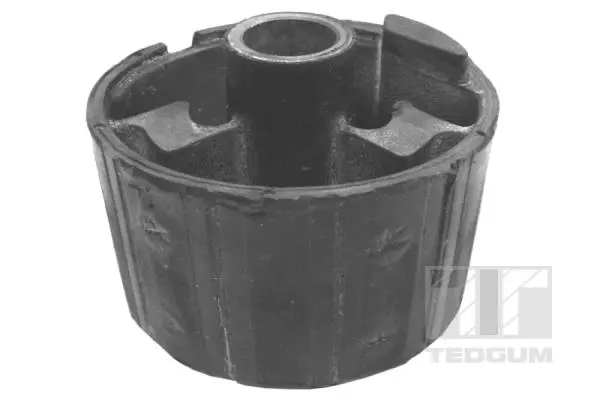 Mounting, engine (00504761)