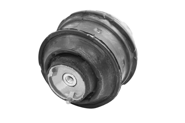 Mounting, engine (TED21219)
