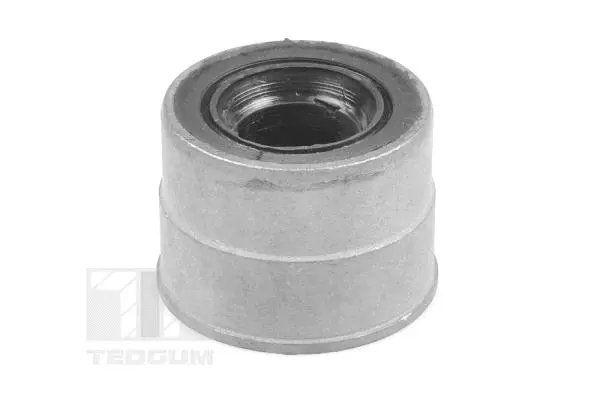 Mounting, control/trailing arm (01141371)
