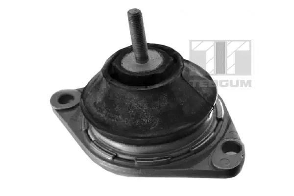 Mounting, engine (00050297)