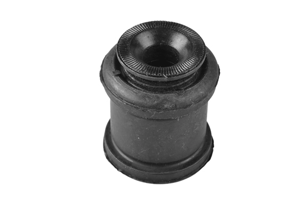 Mounting, control/trailing arm (00161911)