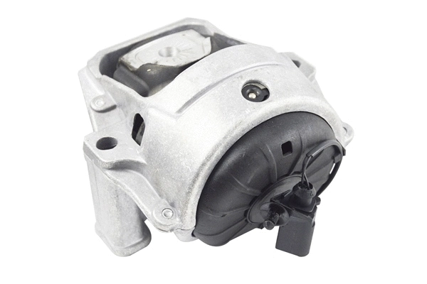 Mounting, engine (TED40903)