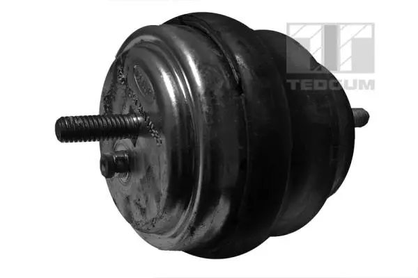 Mounting, engine (00089455)