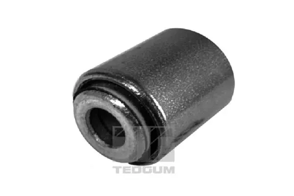 Mounting, control/trailing arm (00416300)