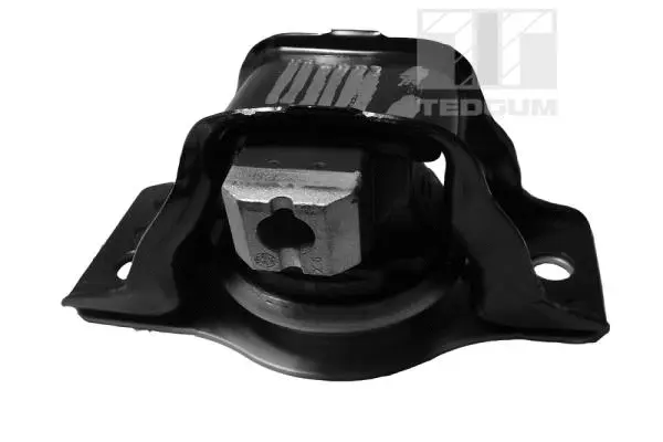 Mounting, engine (00581422)