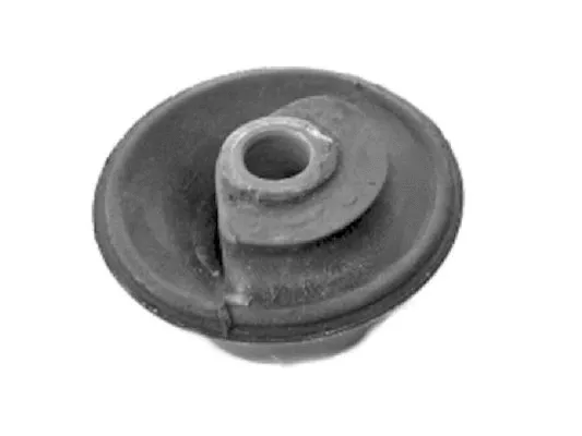 Bushing, axle beam (00720214)