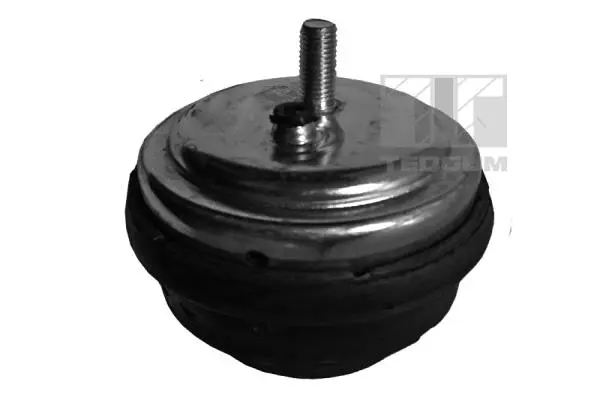 Mounting, engine (00080395)