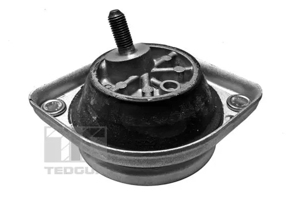 Mounting, engine (00089801)