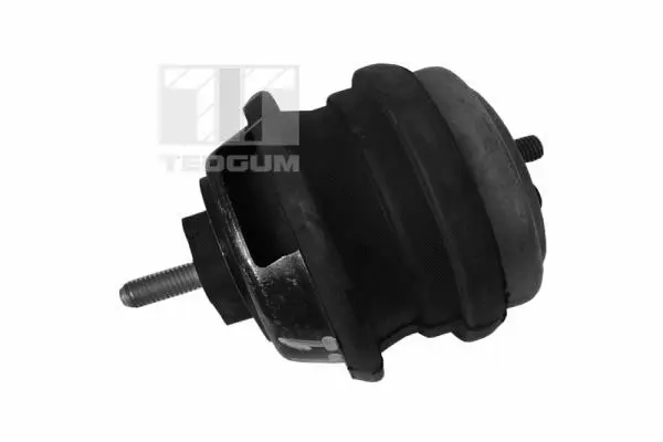 Mounting, engine (00089478)