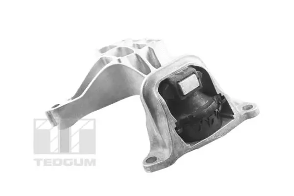Mounting, engine (TED37615)