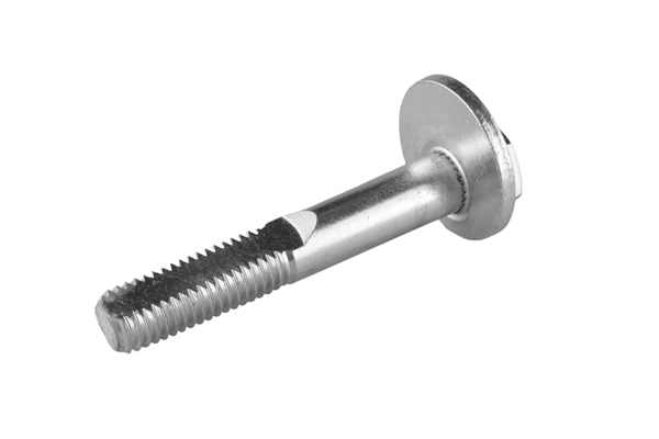 Camber Correction Screw