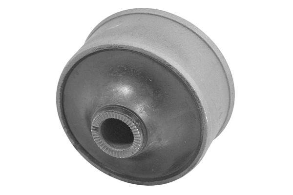 Mounting, control/trailing arm (TED60987)