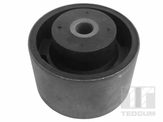 Mounting, engine (00144283)