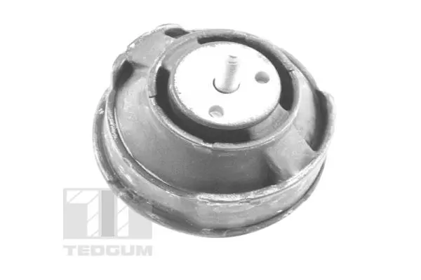 Mounting, engine (00080630)