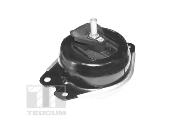 Mounting, engine (TED40414)