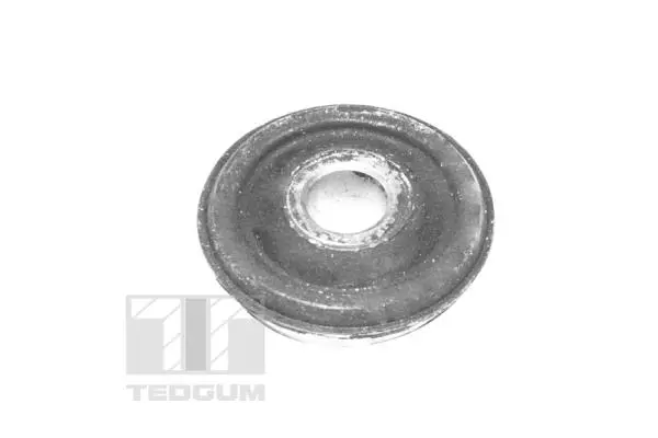 Mounting, control/trailing arm