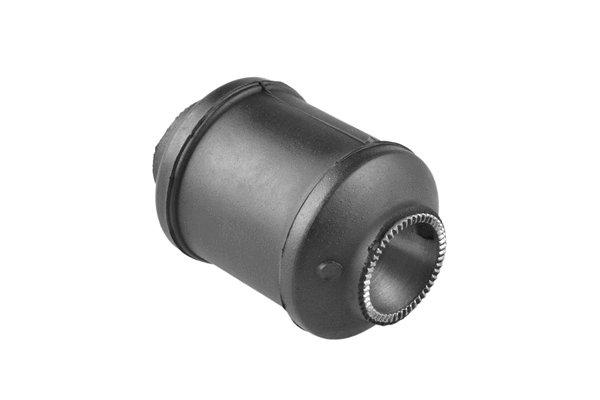 Mounting, control/trailing arm (00289315)