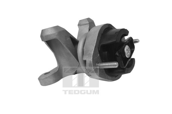 Mounting, engine (00058910)