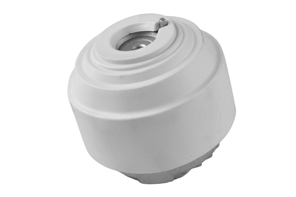 Mounting, engine (TED73805)