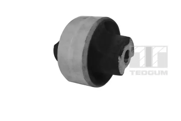 Mounting, control/trailing arm (00513287)