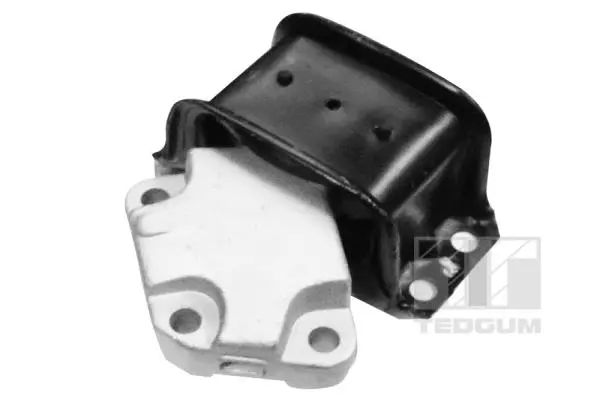 Mounting, engine (00145790)