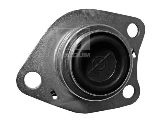 Mounting, engine (00580609)