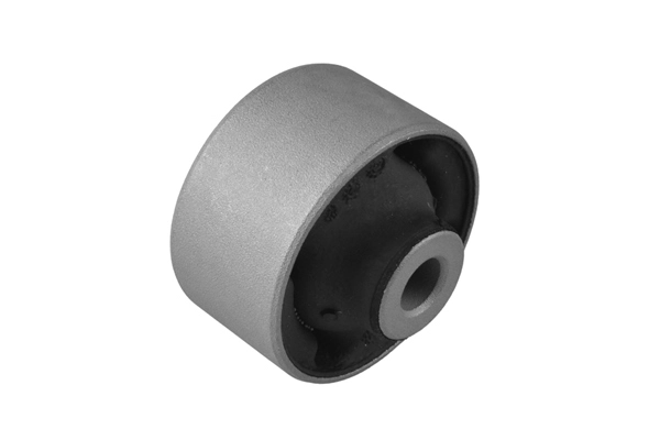 Mounting, leaf spring (00228011)