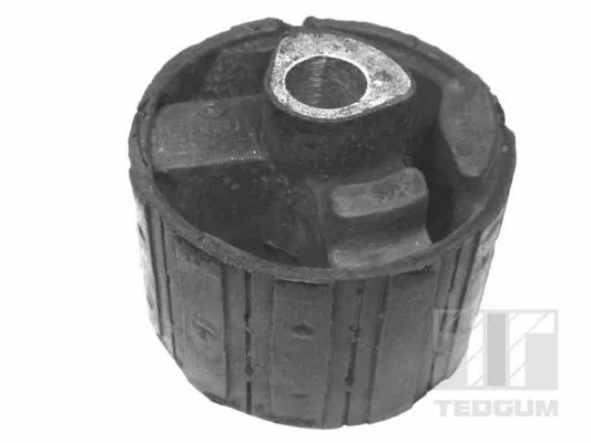 Mounting, engine (00504695)