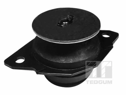 Mounting, manual transmission support (00725600)