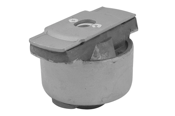 Bushing, axle beam (00584274)