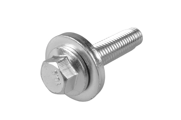 Screw (TED50696)