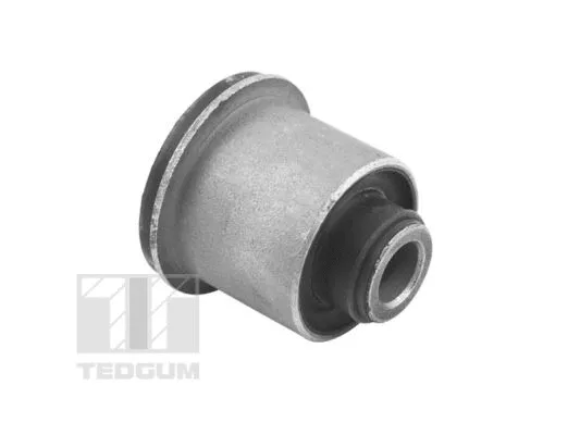 Mounting, control/trailing arm (TED96124)
