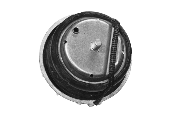Mounting, engine (TED46098)