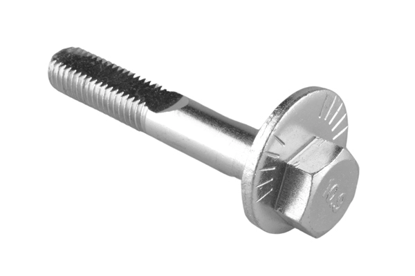 Camber Correction Screw (TED55072)