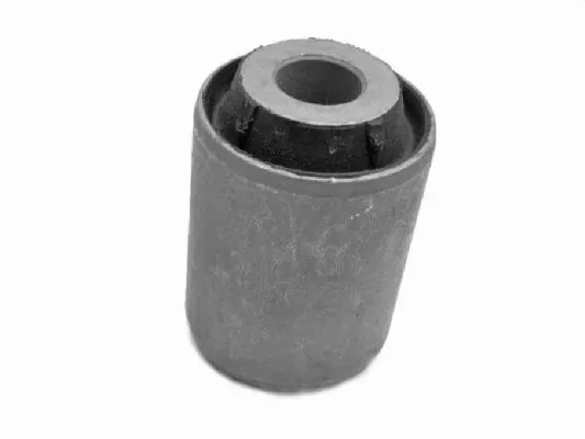 Mounting, control/trailing arm (00218744)