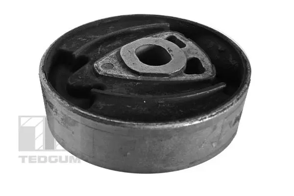 Mounting, differential (00088691)